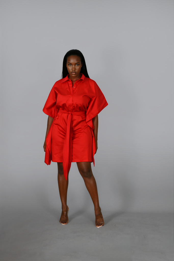 Debe Keafon Shirt Dress