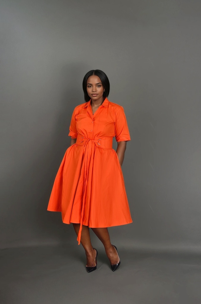 Meena Kelly Dress