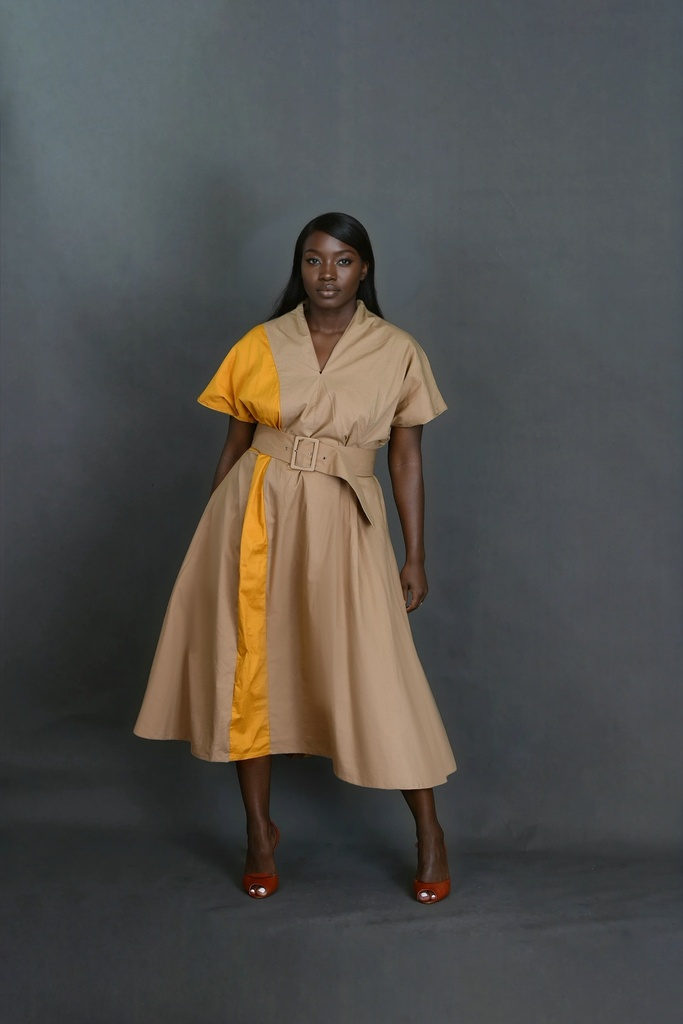 Saly Color Block  Dress